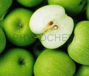 Apple Extract 98% Phlorizin