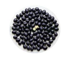 Black Soybean Extract 10% Anthocyanidins
