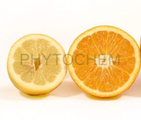 Citrus Bioflavone 50% Bioflavanoids