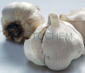 Garlic Powder 8000 ppm Allicin