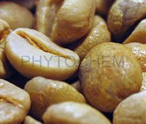Green Coffee Bean Extract 50% Total Chlorogenic Acids