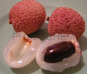 Lychee Seed Extract 12% Polyphenols