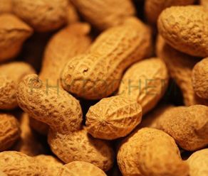 Peanut shell Extract 80% Luteolin