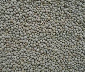 Perilla Seed Extract 20% Polyphenol