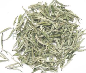 Tea Extract White Tea 50% Polyphenol