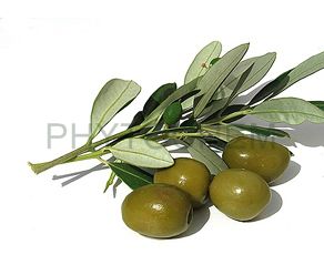 Olive Leaf Extract 40% Oleuropein