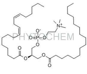 Phosphatidylserine Powder 20%